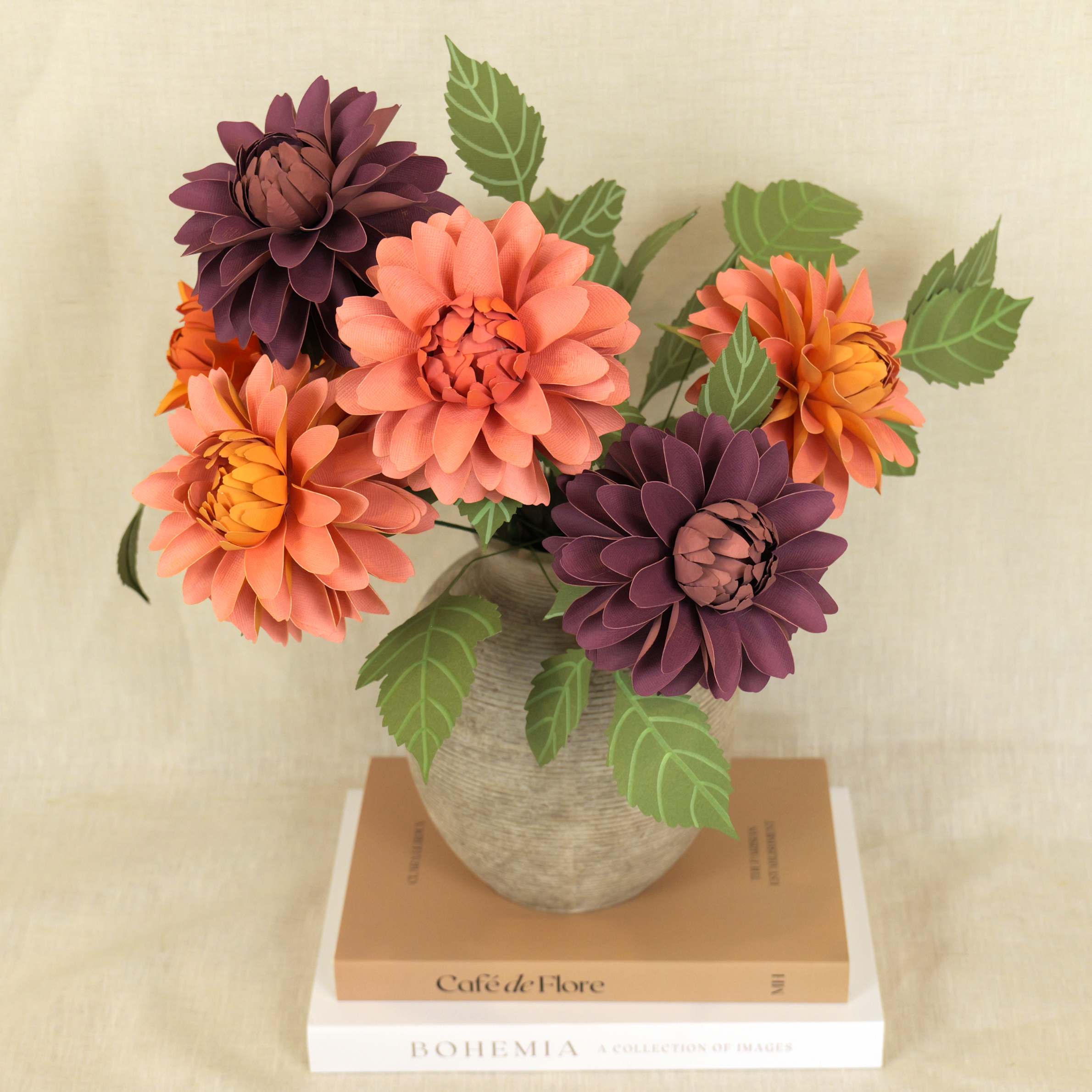 Pacific Coastal Dahlia